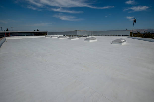 Best Roof Moss and Algae Removal  in China Spring, TX
